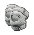 2 Additional NeuroGenoux